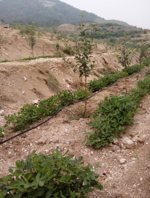 山西滴灌管多少钱一米_农副产品栏目